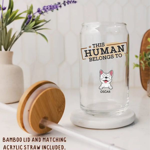 Glass Can-This Human Belongs To - Personalized Glass Can (16oz) | Pet Lover Gift | Custom Tumbler-JackNRoy