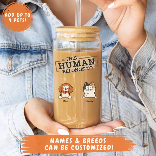 Glass Can-This Human Belongs To - Personalized Glass Can (16oz) | Pet Lover Gift | Custom Tumbler-JackNRoy