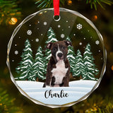 Ornament-Custom Winter Pet - Personalized Ornament | Upload Your Photo | Gift for Pet Lovers-Glass Ornament-Glass-JackNRoy