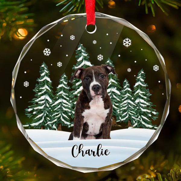 Ornament-Custom Winter Pet - Personalized Ornament | Upload Your Photo | Gift for Pet Lovers-Glass Ornament-Glass-JackNRoy