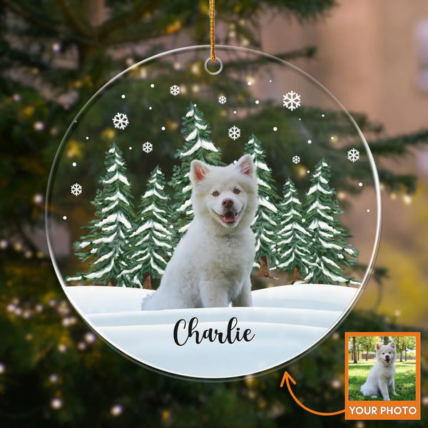 Custom Winter Pet - Personalized Ornament | Upload Your Photo | Gift for Pet Lovers
