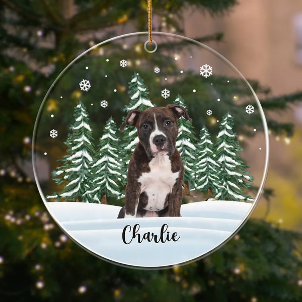Ornament-Custom Winter Pet - Personalized Ornament | Upload Your Photo | Gift for Pet Lovers-Acrylic Ornament-Clear Acrylic-JackNRoy
